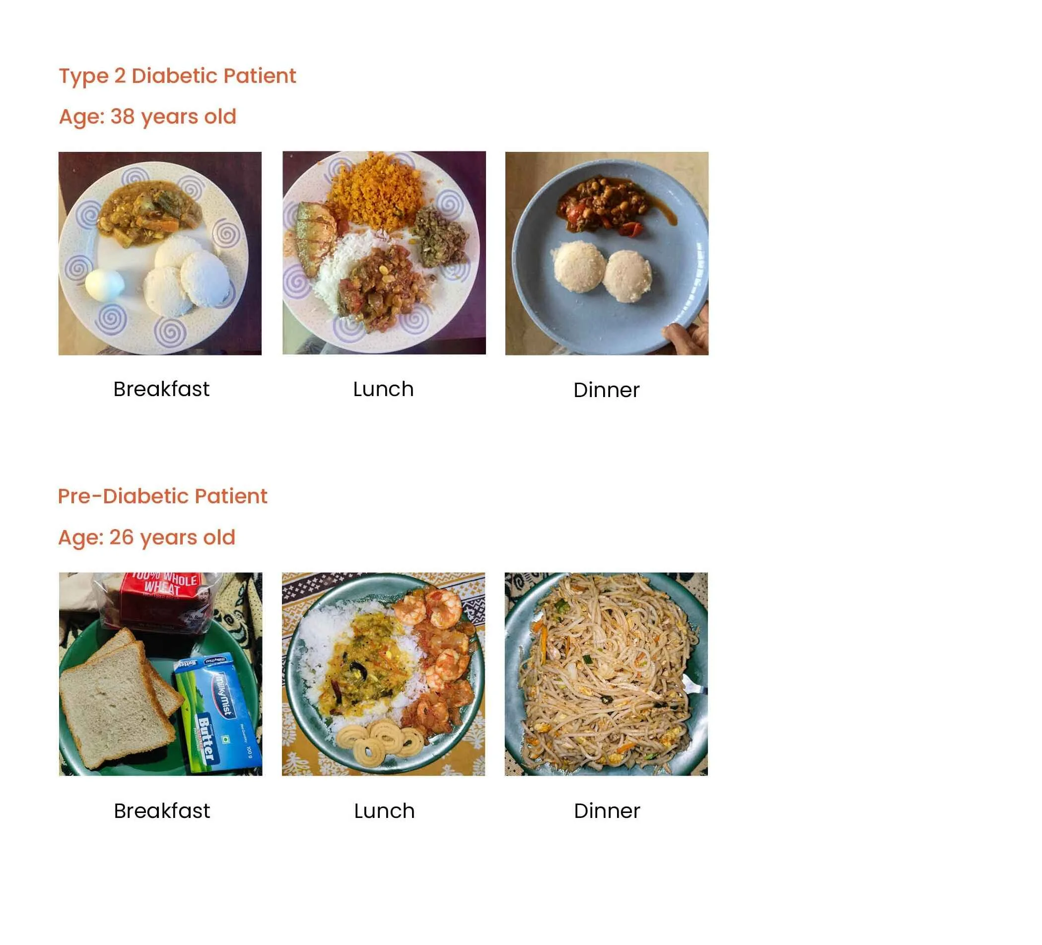 Compilation of daily food journals from two Type 2 diabetic patients 